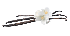 Vanilla Bean Protein Blend